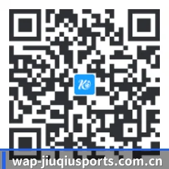 系统版 iOS 二维码